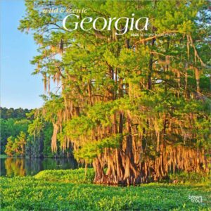 Georgia Wild & Scenic | 2026 12 x 24 Inch (Hanging) Monthly Square Wall Calendar | Plastic-Free | BrownTrout | USA Southeast State Nature Savannah Golf