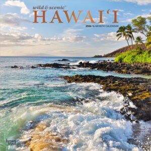 Hawaii Wild & Scenic | 2026 12 x 24 Inch (Hanging) Monthly Square Wall Calendar | Foil Stamped Cover | Plastic-Free | BrownTrout | USA United States of America Noncontiguous State Nature
