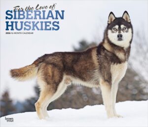 For the Love of Siberian Huskies | 2026 14 x 24 Inch (Hanging) Monthly Deluxe Wall Calendar | Foil Stamped Cover | Plastic-Free | BrownTrout | Animal Dog Breeds Husky