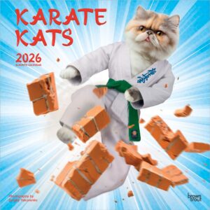 Karate Cats OFFICIAL | 2026 12 x 24 Inch (Hanging) Monthly Square Wall Calendar | Plastic-Free | BrownTrout | Pets Funny Animals Feline