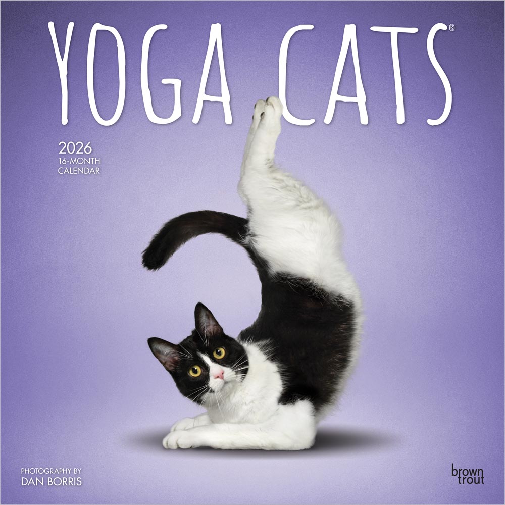 Yoga Cats OFFICIAL | 2026 12 x 24 Inch (Hanging) Monthly Square Wall Calendar | Plastic-Free | BrownTrout | Animals Humor Pets