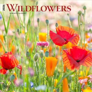 Wildflowers | 2026 12 x 24 Inch (Hanging) Monthly Square Wall Calendar | Plastic-Free | BrownTrout | Flower Outdoor Plant