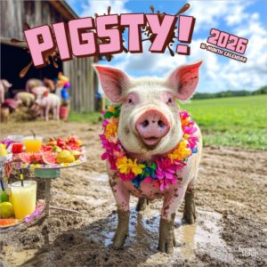 Pigsty | 2026 12 x 24 Inch (Hanging) Monthly Square Wall Calendar | Plastic-Free | BrownTrout | Domestic Pet Farm Animals