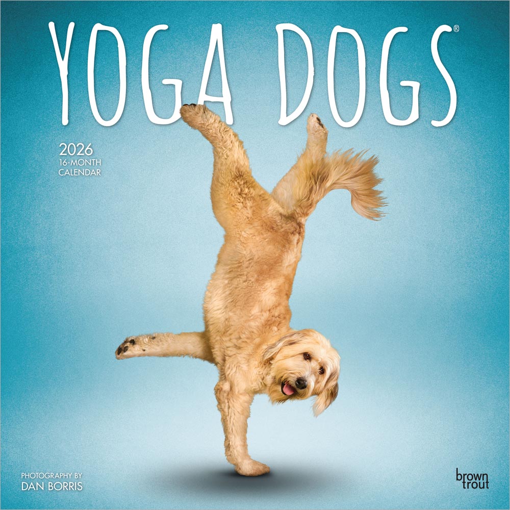 Yoga Dogs OFFICIAL | 2026 12 x 24 Inch (Hanging) Monthly Square Wall Calendar | Plastic-Free | BrownTrout | Animals Humor Pets