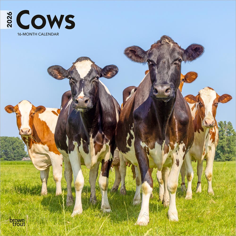 Cows | 2026 12 x 24 Inch (Hanging) Monthly Square Wall Calendar | Plastic-Free | BrownTrout | Domestic Farm Animals