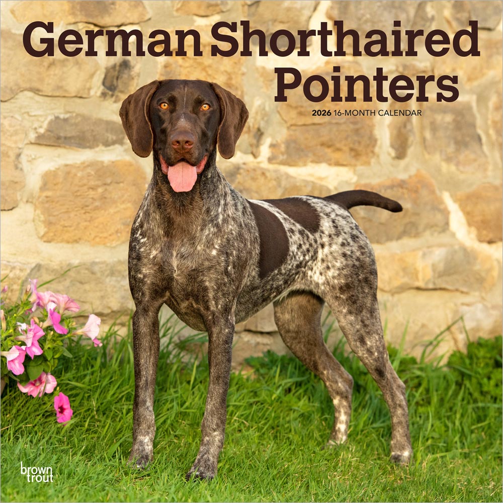 German Shorthaired Pointers | 2026 12 x 24 Inch (Hanging) Monthly Square Wall Calendar | Plastic-Free | BrownTrout | Animals Dog Breeds