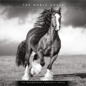 The BrownTrout Portrait Series: The Noble Horse | 2026 12 x 24 Inch (Hanging) Monthly Square Wall Calendar | Plastic-Free | Pets Equestrian