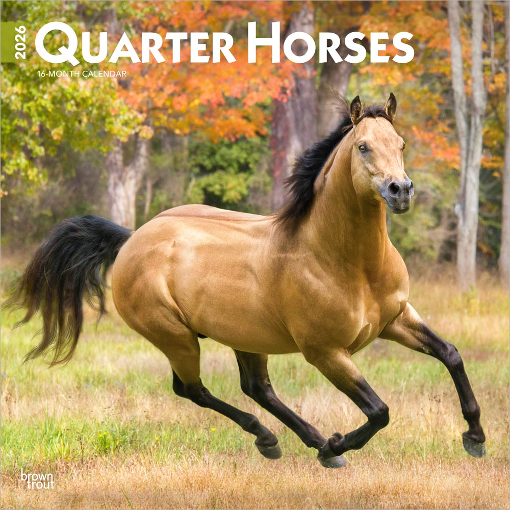 Quarter Horses | 2026 12 x 24 Inch (Hanging) Monthly Square Wall Calendar | Plastic-Free | BrownTrout | Animals Equestrian