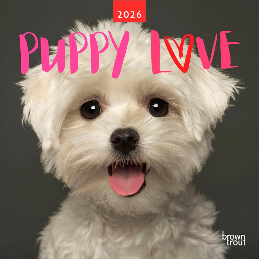 Puppy Love | 2026 12 x 24 Inch (Hanging) Monthly Square Wall Calendar | Plastic-Free | BrownTrout | Dogs Pets Canine