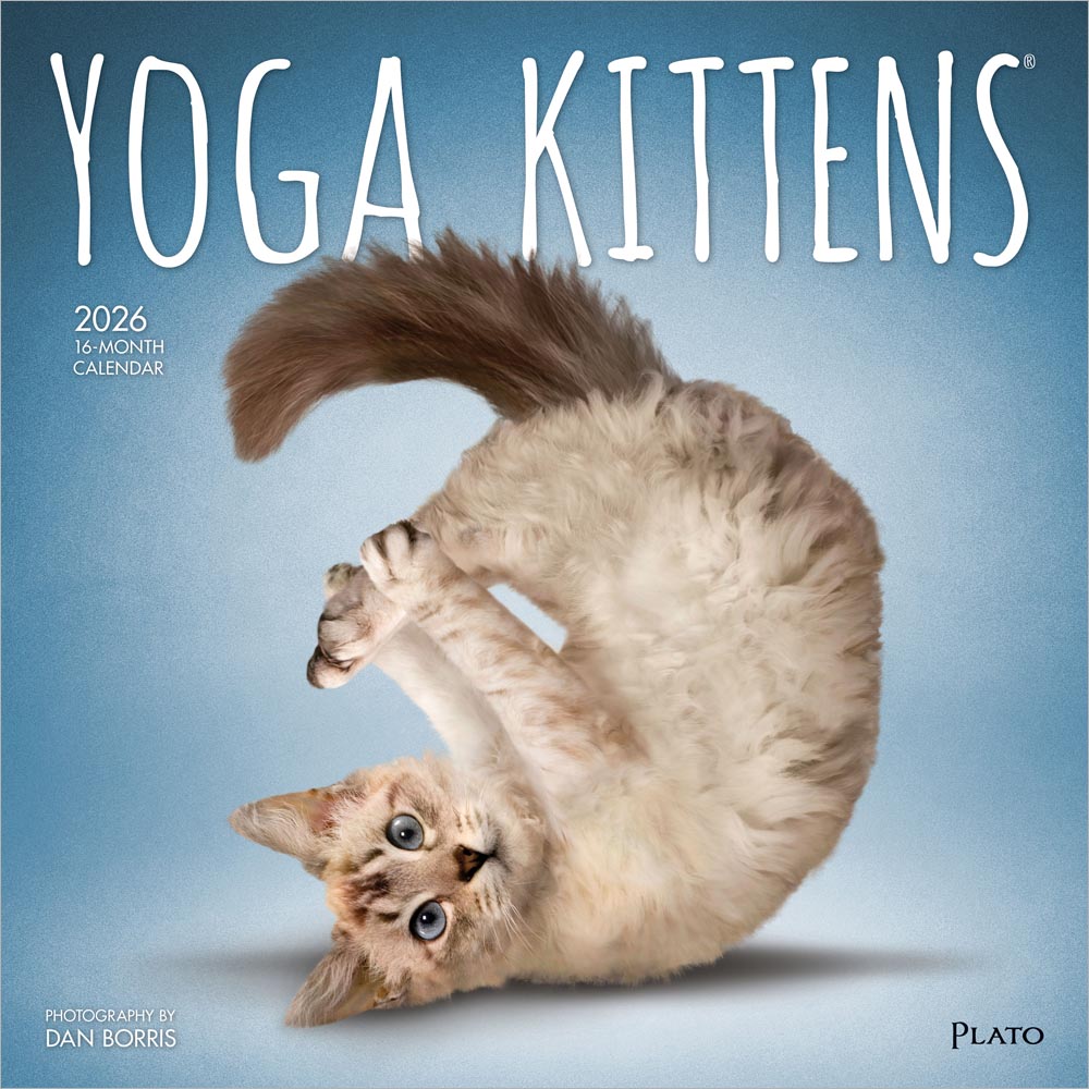 Yoga Kittens OFFICIAL | 2026 12 x 24 Inch (Hanging) Monthly Square Wall Calendar | Plato | Animals Humor Cats Feline