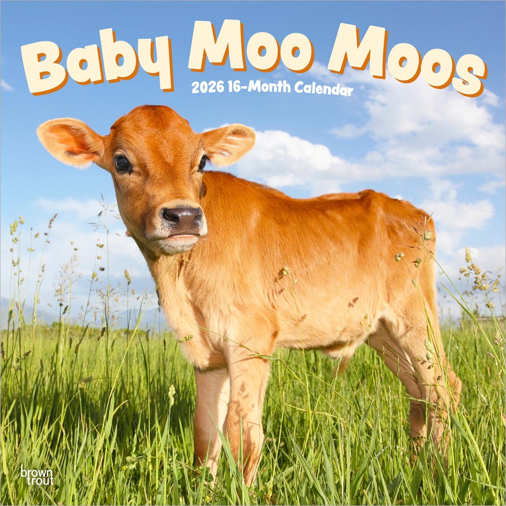 Baby Moo Moos | 2026 12 x 24 Inch (Hanging) Monthly Square Wall Calendar | Plastic-Free | BrownTrout | Domestic Cows Animals