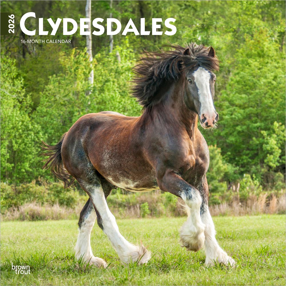 Clydesdales | 2026 12 x 24 Inch (Hanging) Monthly Square Wall Calendar | Plastic-Free | BrownTrout | Animals Horses