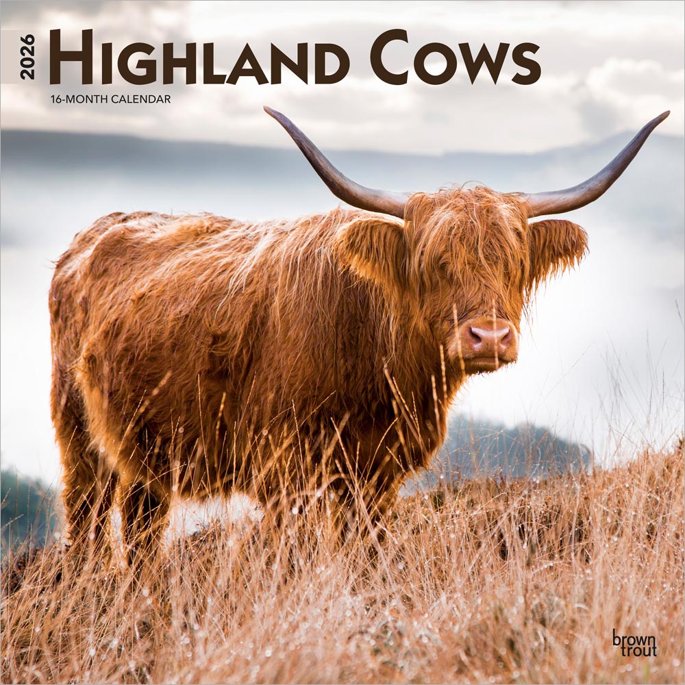 Highland Cows | 2026 12 x 24 Inch (Hanging) Monthly Square Wall Calendar | Plastic-Free | BrownTrout | Domestic Farm Animals