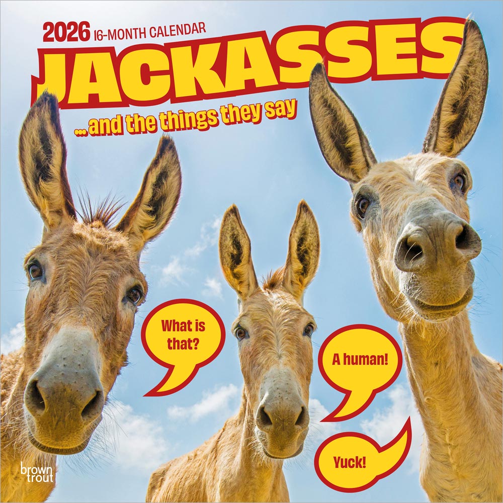 Jackasses | 2026 12 x 24 Inch (Hanging) Monthly Square Wall Calendar | Plastic-Free | BrownTrout | Donkey Humor