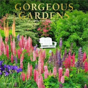 Gorgeous Gardens | 2026 12 x 24 Inch (Hanging) Monthly Square Wall Calendar | Foil Stamped Cover | Plato | Outdoor Home Country Nature