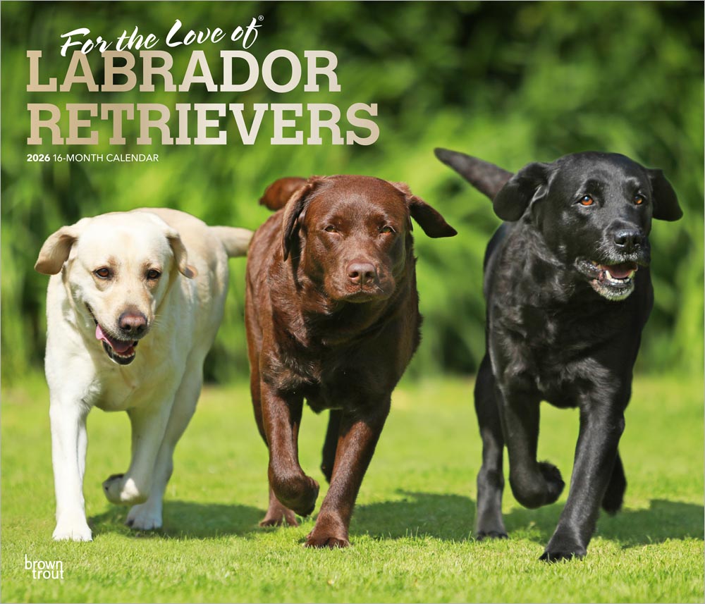 For the Love of Labrador Retrievers | 2026 14 x 24 Inch (Hanging) Monthly Deluxe Wall Calendar | Foil Stamped Cover | Plastic-Free | BrownTrout | Animal Dog Breeds