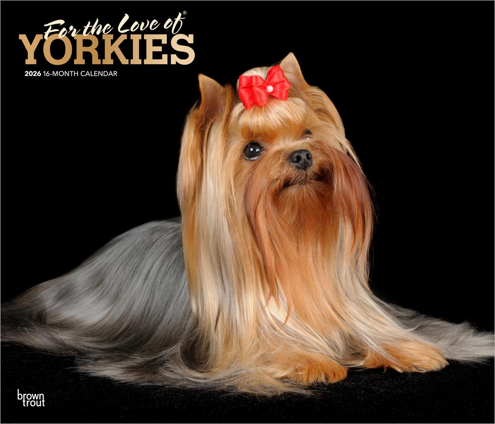 For the Love of Yorkshire Terriers | 2026 14 x 24 Inch (Hanging) Monthly Deluxe Wall Calendar | Foil Stamped Cover | Plastic-Free | BrownTrout | Animal Small Dog Breeds