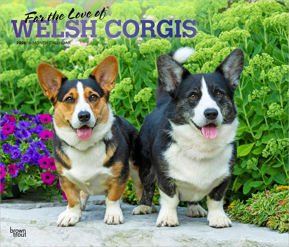 For the Love of Welsh Corgis | 2026 14 x 24 Inch (Hanging) Monthly Deluxe Wall Calendar | Foil Stamped Cover | Plastic-Free | BrownTrout | Animal Dog Breeds