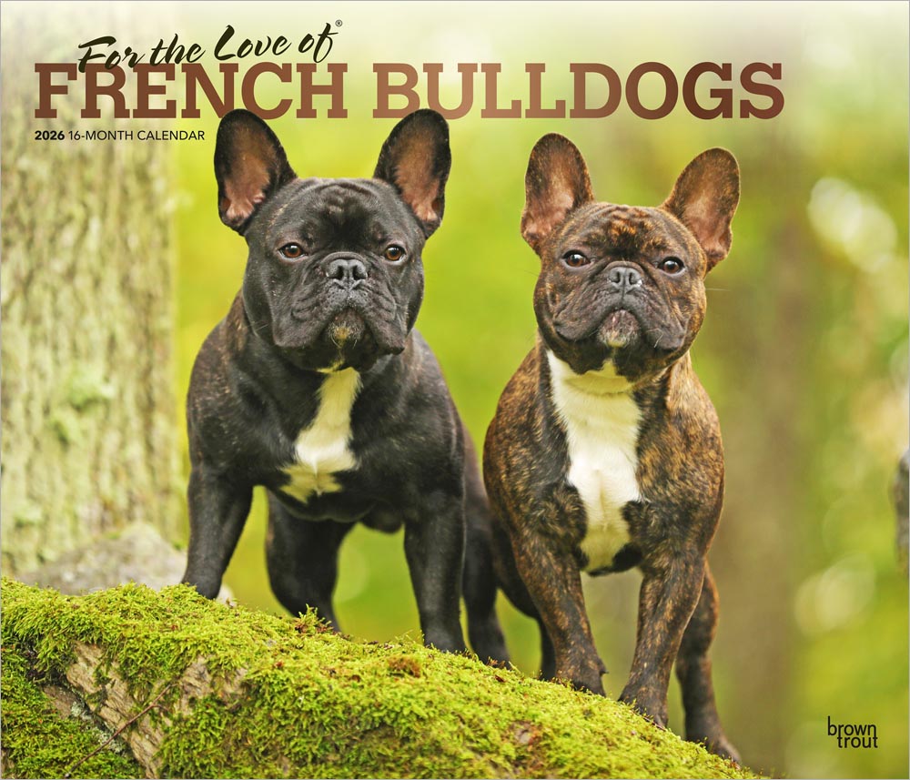 For the Love of French Bulldogs | 2026 14 x 24 Inch (Hanging) Monthly Deluxe Wall Calendar | Foil Stamped Cover | Plastic-Free | BrownTrout | Animal Dog Breeds
