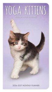 Yoga Kittens OFFICIAL | 2026-2027 3.5 x 6.5 Inch Two Year Monthly Pocket Planner Calendar | BrownTrout | Animals Humor Cats Feline Pet