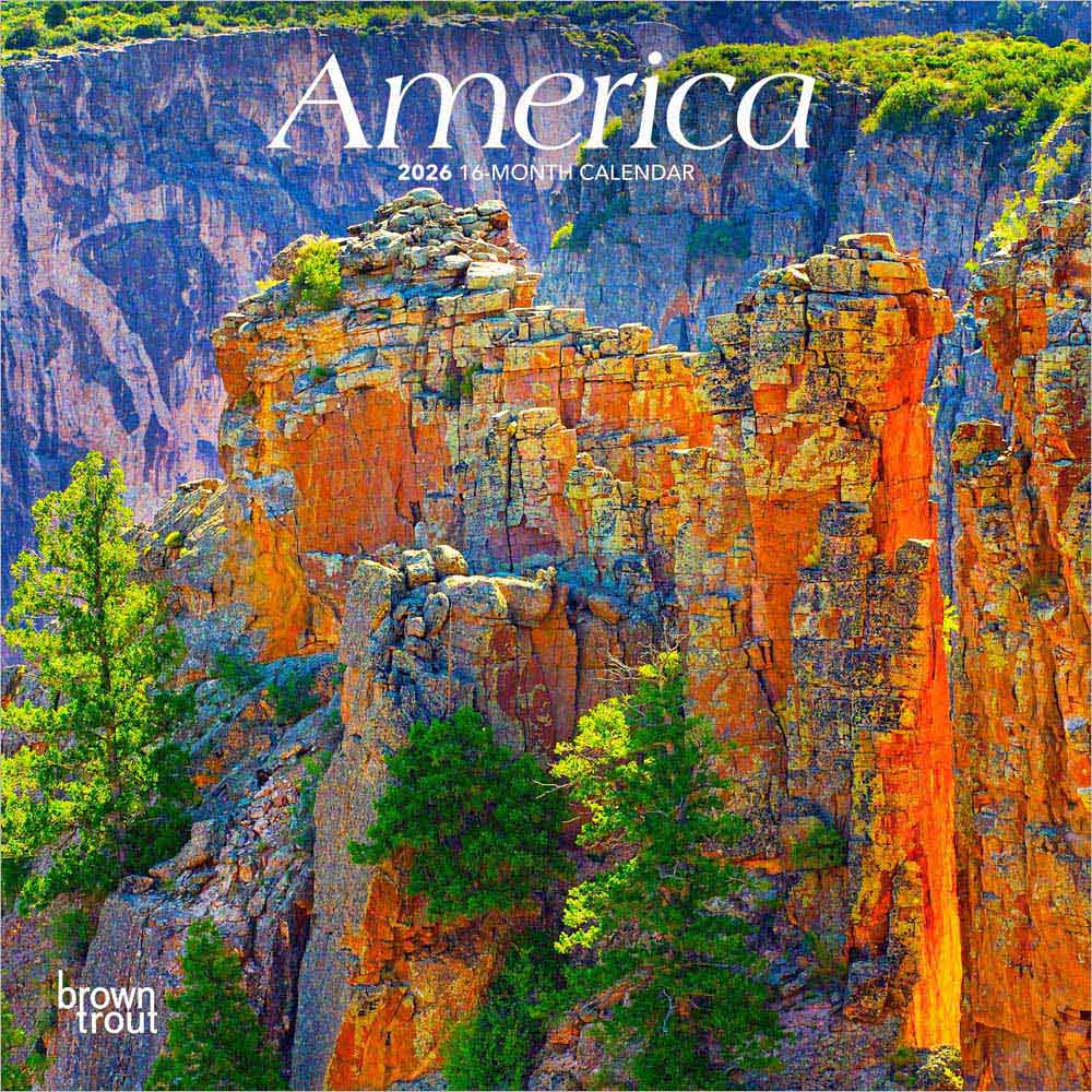 America | 2026 7 x 14 Inch (Hanging) Monthly Mini Wall Calendar | BrownTrout | USA United States