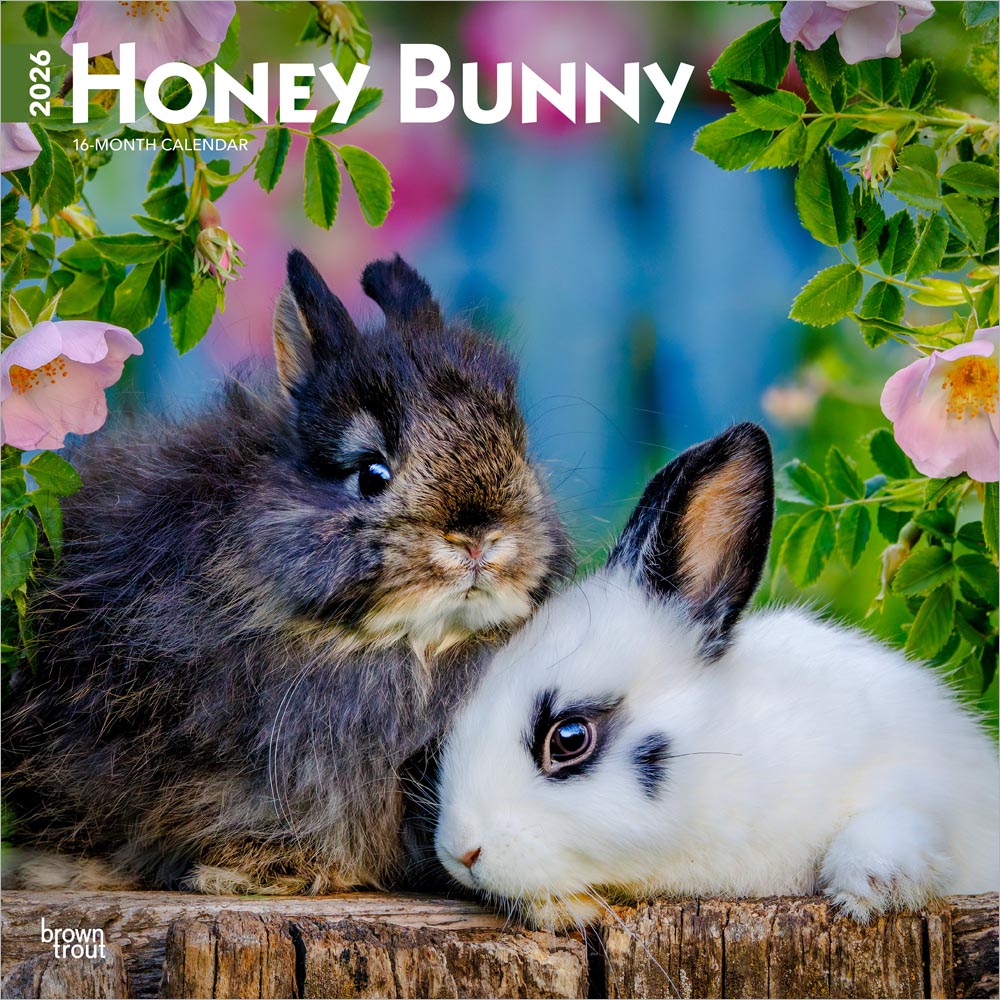Honey Bunny | 2026 12 x 24 Inch (Hanging) Monthly Square Wall Calendar | Plastic-Free | BrownTrout | Domestic Small Cute Animals