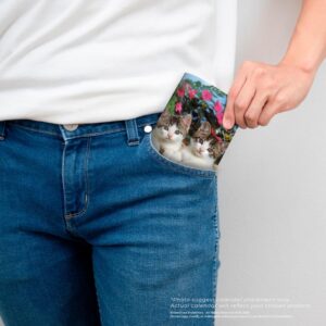 Kitten Cuddles | 2026-2027 3.5 x 6.5 Inch Two Year Monthly Pocket Planner Calendar | BrownTrout | Animals Cute Cat Feline