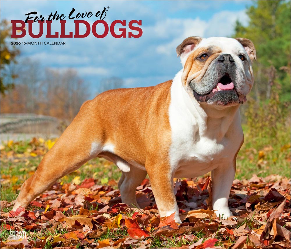 For the Love of Bulldogs | 2026 14 x 24 Inch (Hanging) Monthly Deluxe Wall Calendar | Foil Stamped Cover | Plastic-Free | BrownTrout | Animal Dog Breeds