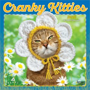 Avanti Cranky Kitties OFFICIAL | 2026 7 x 14 Inch (Hanging) Monthly Mini Wall Calendar | BrownTrout | Angry Cat Feline