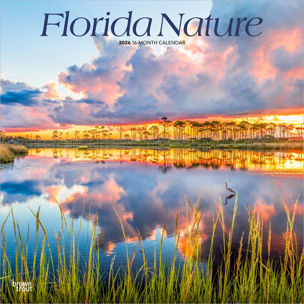 Florida Nature | 2026 12 x 24 Inch (Hanging) Monthly Square Wall Calendar | Plastic-Free | BrownTrout | USA United States of America Southeast State