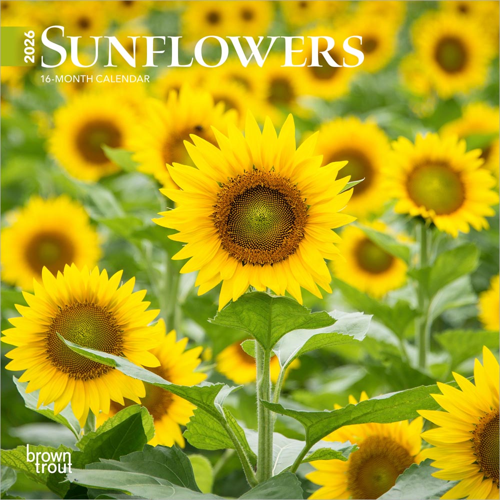 Sunflowers | 2026 7 x 14 Inch (Hanging) Monthly Mini Wall Calendar | BrownTrout | Flower Outdoor Plant