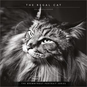The BrownTrout Portrait Series: The Regal Cat | 2026 12 x 24 Inch (Hanging) Monthly Square Wall Calendar | Plastic-Free | Pet Kitten Feline