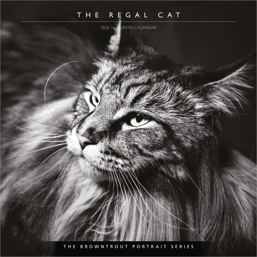 The BrownTrout Portrait Series: The Regal Cat | 2026 12 x 24 Inch (Hanging) Monthly Square Wall Calendar | Plastic-Free | Pet Kitten Feline