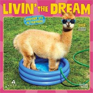 Avanti Livin' the Dream OFFICIAL | 2026 7 x 14 Inch (Hanging) Monthly Mini Wall Calendar | BrownTrout | Motivation Inspiration Funny