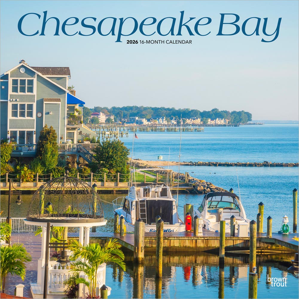 Chesapeake Bay | 2026 12 x 24 Inch (Hanging) Monthly Square Wall Calendar | Plastic-Free | BrownTrout | USA United States of America Scenic Nature Ocean Sea Coast