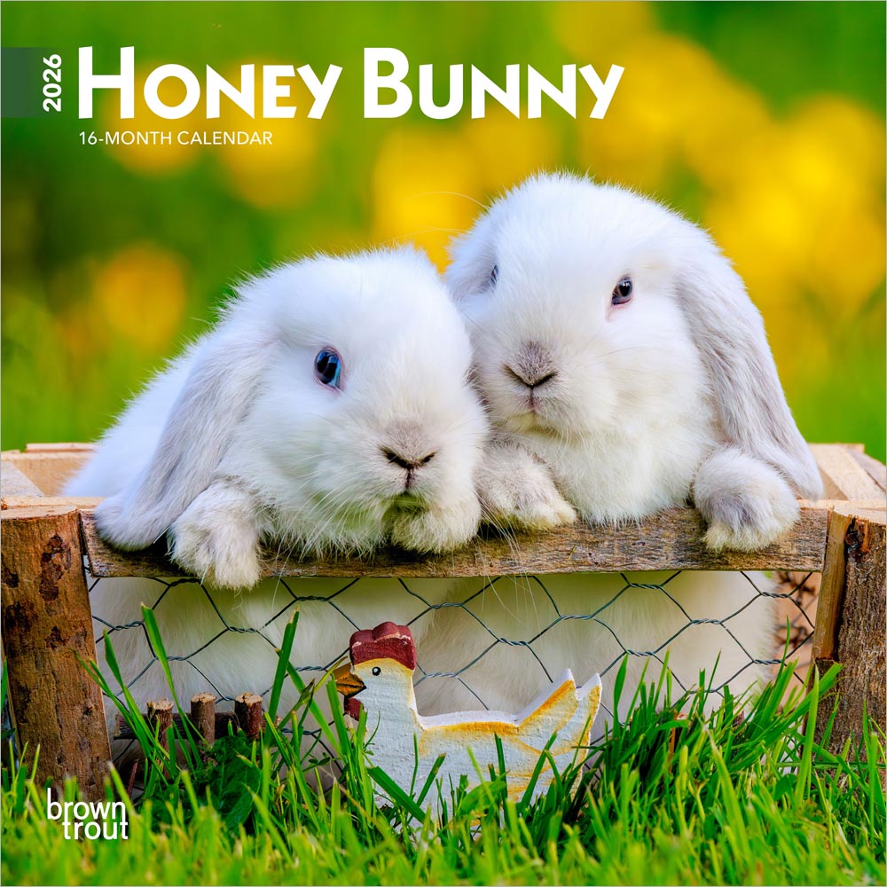 Honey Bunny | 2026 7 x 14 Inch (Hanging) Monthly Mini Wall Calendar | BrownTrout | Domestic Small Cute Animals