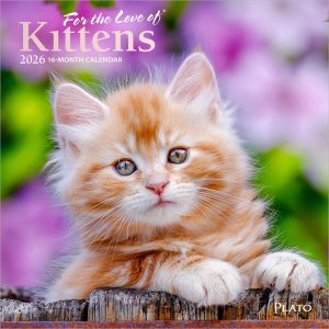 For the Love of Kittens | 2026 7 x 14 Inch (Hanging) Monthly Mini Wall Calendar | Foil Stamped Cover | Plato | Animals Cats Feline
