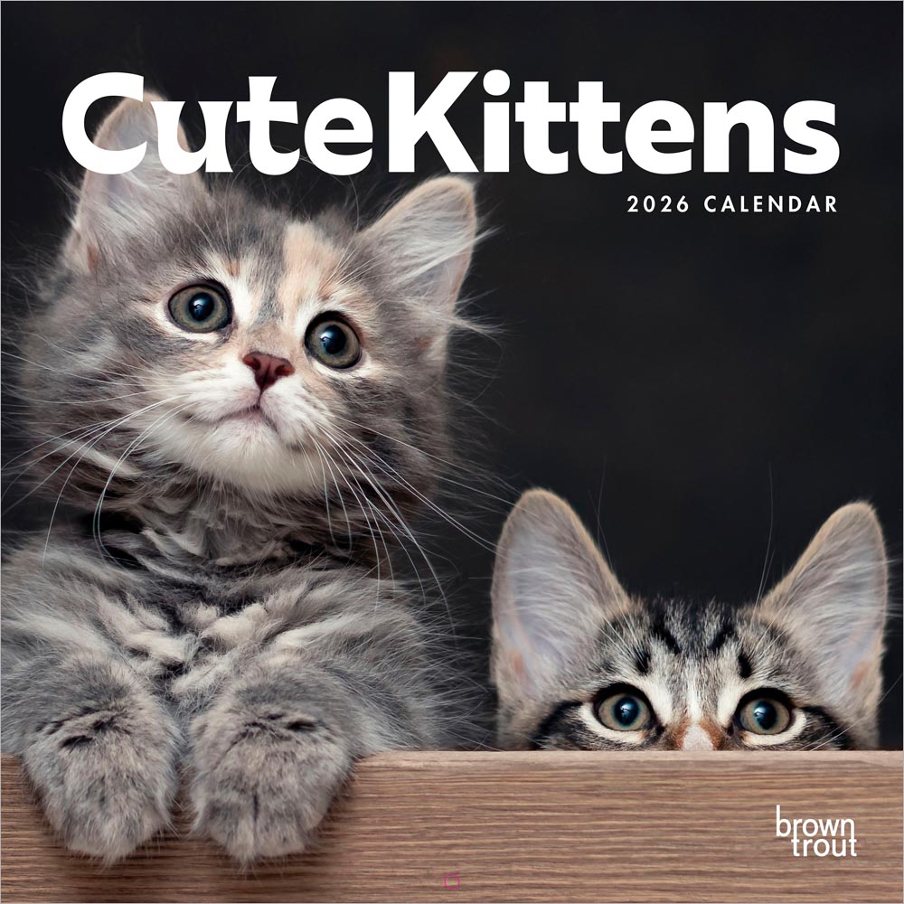Cute Kittens | 2026 12 x 24 Inch (Hanging) Monthly Square Wall Calendar | Plastic-Free | BrownTrout | Cats Pets Feline