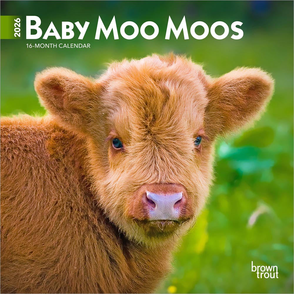 Baby Moo Moos | 2026 7 x 14 Inch (Hanging) Monthly Mini Wall Calendar | BrownTrout | Domestic Cows Animals