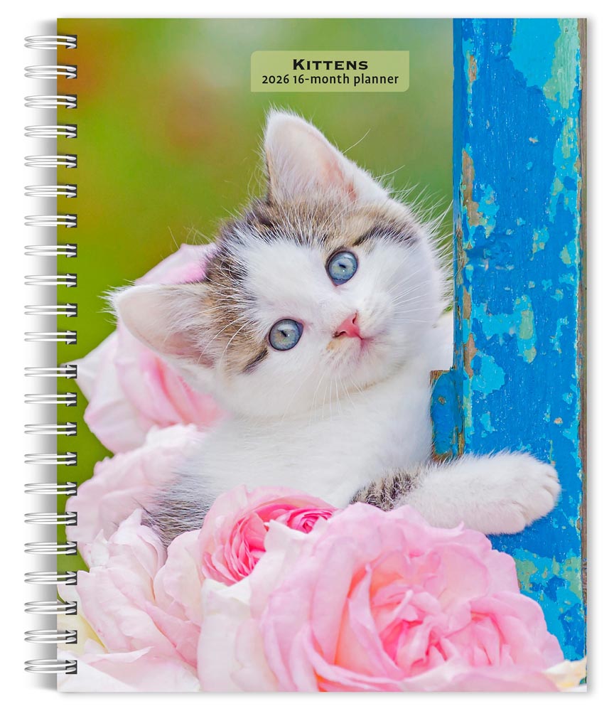 Kittens | 2026 6 x 7.75 Inch Spiral-Bound Wire-O Weekly Engagement Planner Calendar | New Full-Color Image Every Week | BrownTrout | Animals Cats Pets