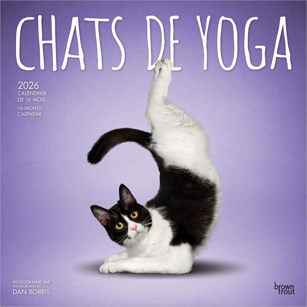Chats de Yoga OFFICIAL | 2026 12 x 24 Inch (Hanging) Monthly Square Wall Calendar | French Language | BrownTrout | Animals Humor Pets