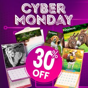 Don’t miss out — shop BrownTrout 2026 calendars and planners now!