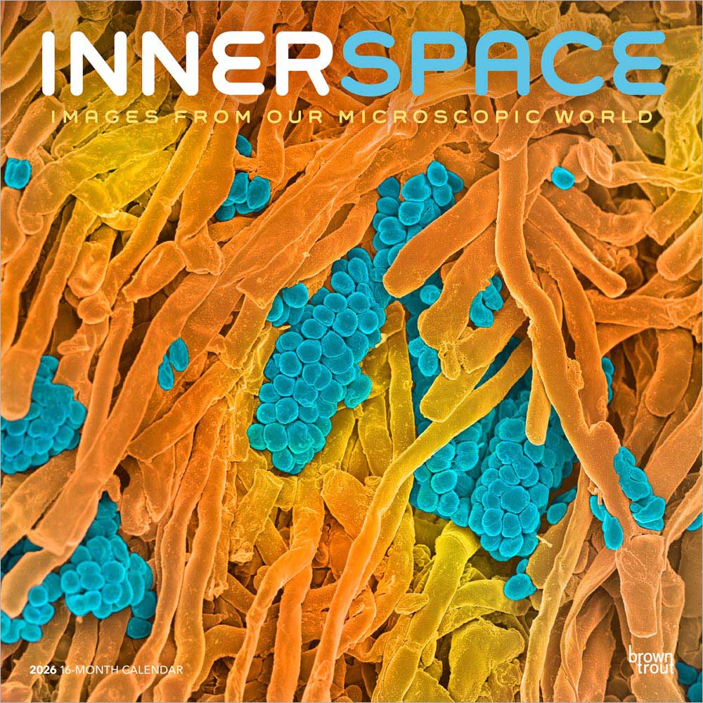 Innerspace | 2026 12 x 24 Inch (Hanging) Monthly Square Wall Calendar | Plastic-Free | BrownTrout | Science Space Exploration Nature