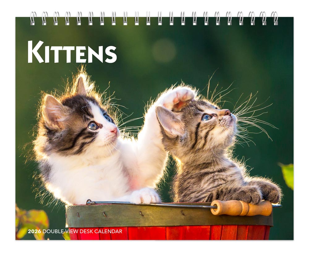 Kittens | 2026 7.5 x 6 Inch Monthly Double-View Easel Desk Calendar | BrownTrout | Animals Cats Feline