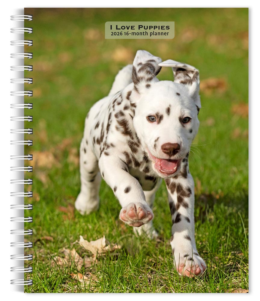 I Love Puppies | 2026 6 x 7.75 Inch Spiral-Bound Wire-O Weekly Engagement Planner Calendar | New Full-Color Image Every Week | BrownTrout | Animals Dog Breeds Puppy