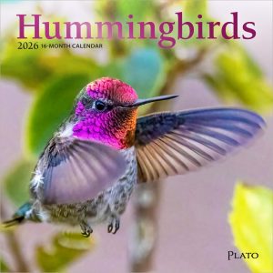 Hummingbirds | 2026 7 x 14 Inch (Hanging) Monthly Mini Wall Calendar | Foil Stamped Cover | Plato | Animals Wildlife