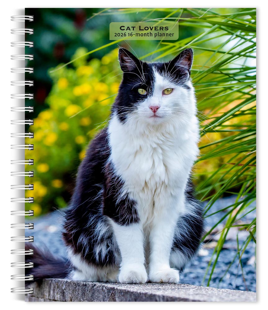 Cat Lovers | 2026 6 x 7.75 Inch Spiral-Bound Wire-O Weekly Engagement Planner Calendar | New Full-Color Image Every Week | BrownTrout | Animals Domestic Kittens Feline