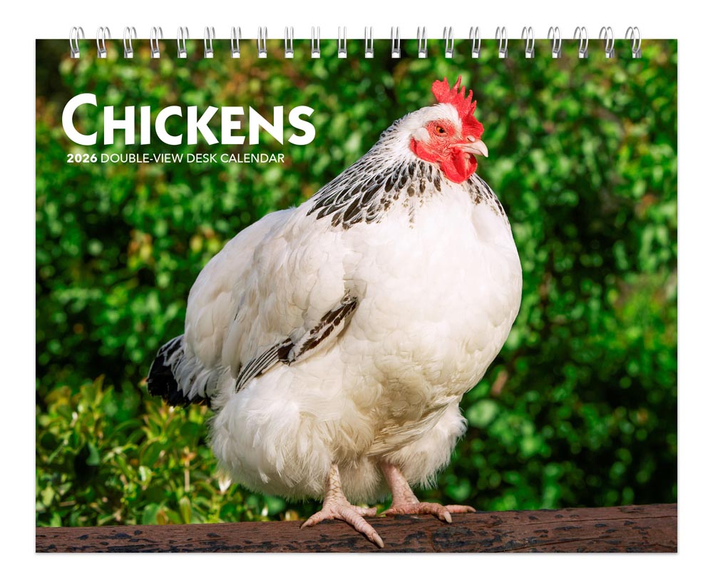 Chickens | 2026 7.5 x 6 Inch Monthly Double-View Easel Desk Calendar | BrownTrout | Domestic Farm Animals