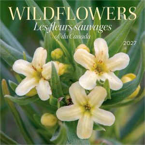 Wildflowers of Canada | 2027 12 x 24 Inch (Hanging) Monthly Square Wall Calendar | English/French Bilingual | Wyman Publishing | Floral Outdoor Plant