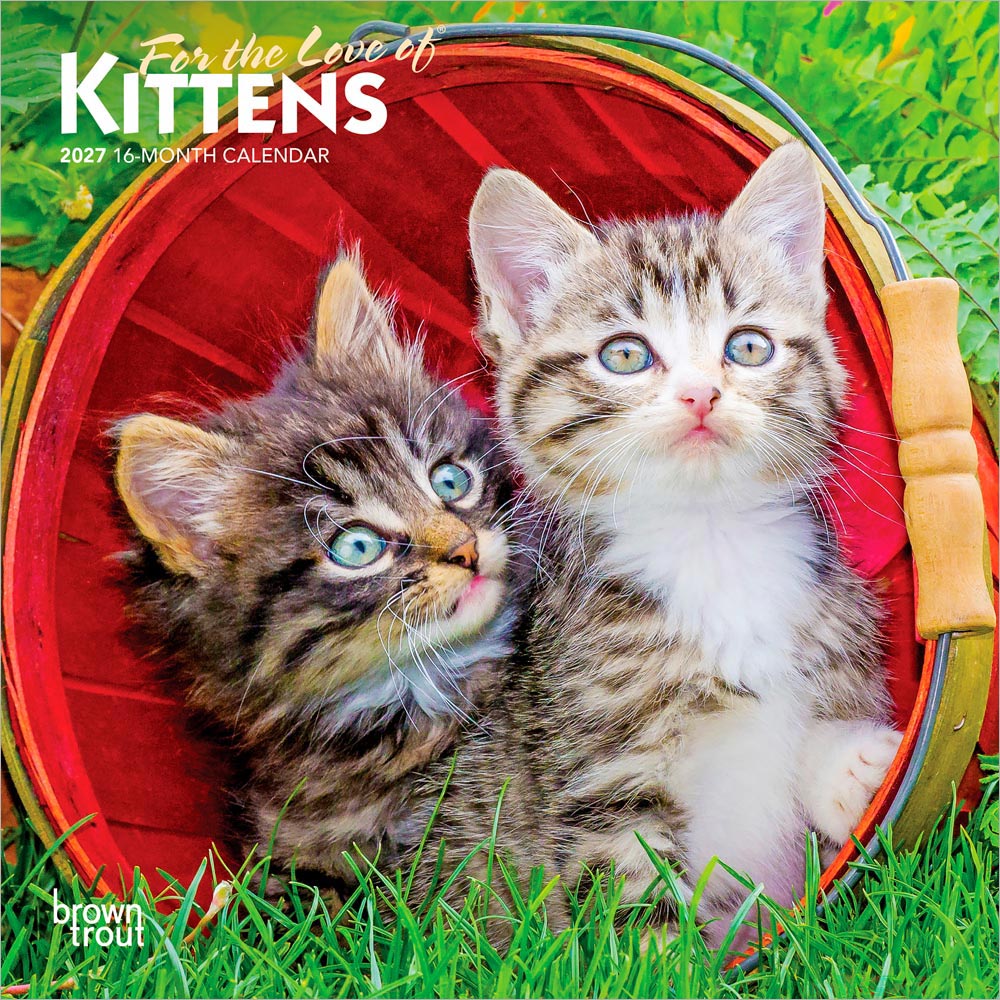 For the Love of Kittens | 2027 7 x 14 Inch (Hanging) Monthly Mini Wall Calendar | BrownTrout | Animals Cats Feline